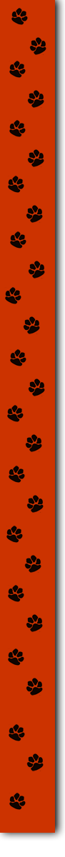 pawssidebar
